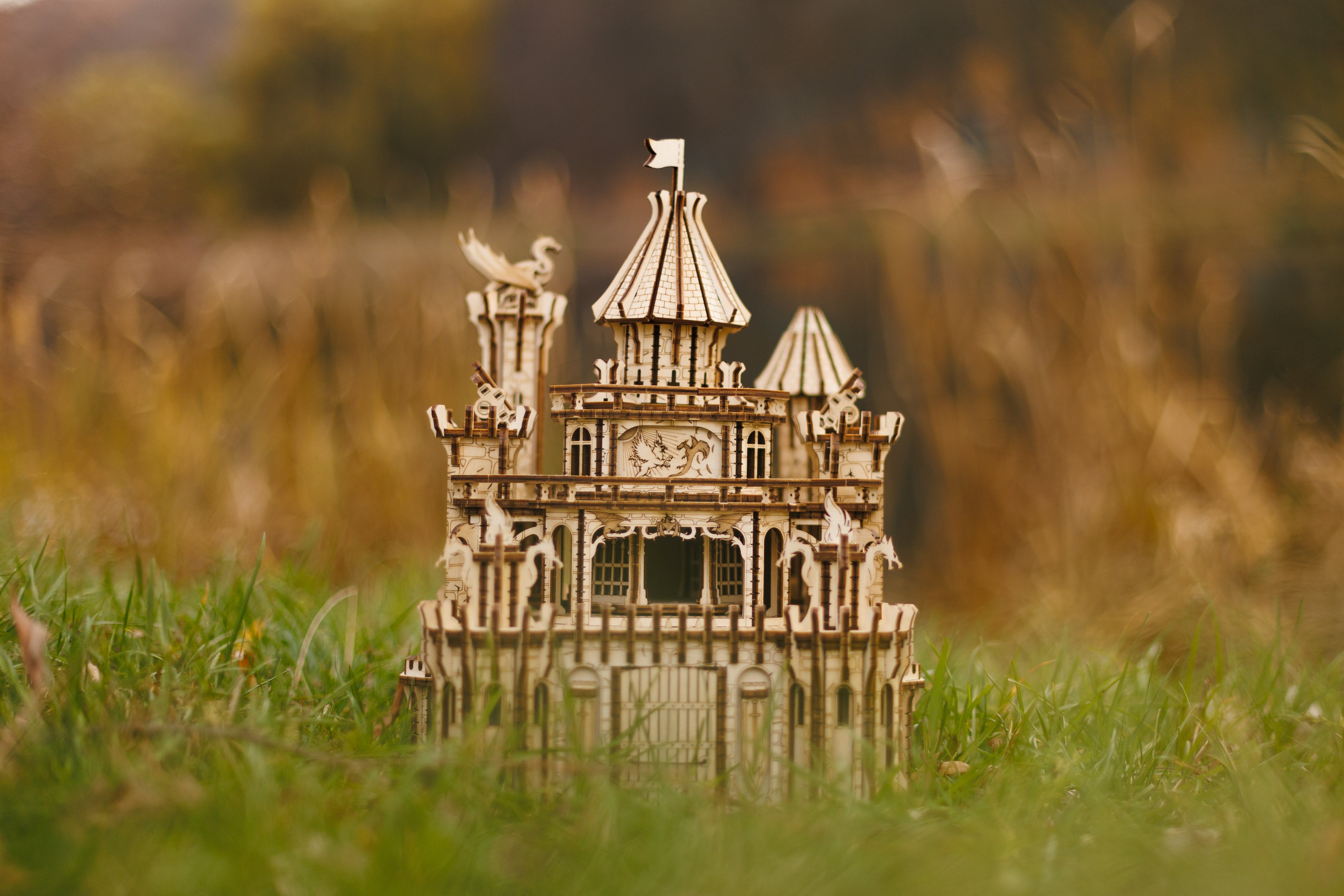 Dragon Castle: when history meets fantasy