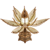 Fiery Bloom image-2 English
