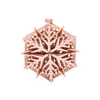 Snowflake image-4 français