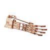 Robotic hand image-1 English