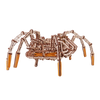 Space Spider image-2 English