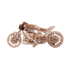 Moto DMS image-2 français