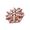 Snowflake image-2 français