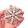 Snowflake image-3 français