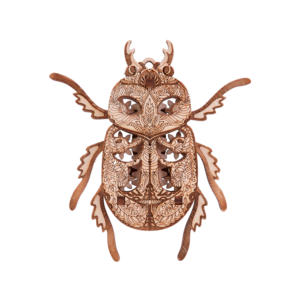 Beetle image-1 English