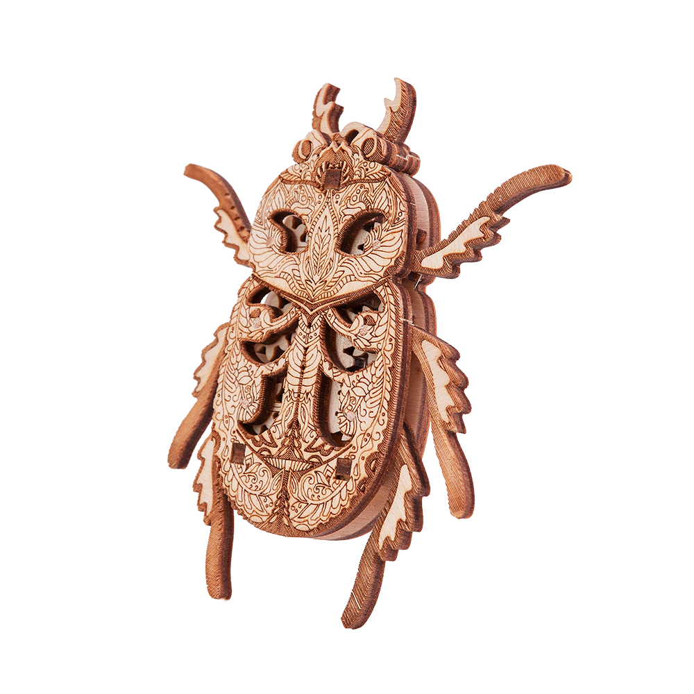 Beetle image-2 English