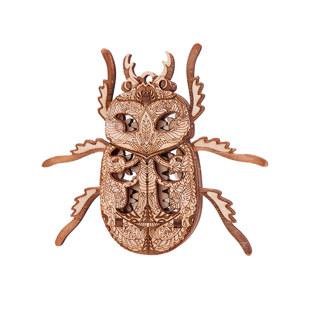 Beetle image-3 English