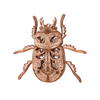 Beetle image-3 français