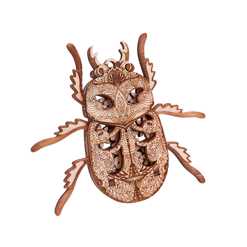 Beetle image-4 English