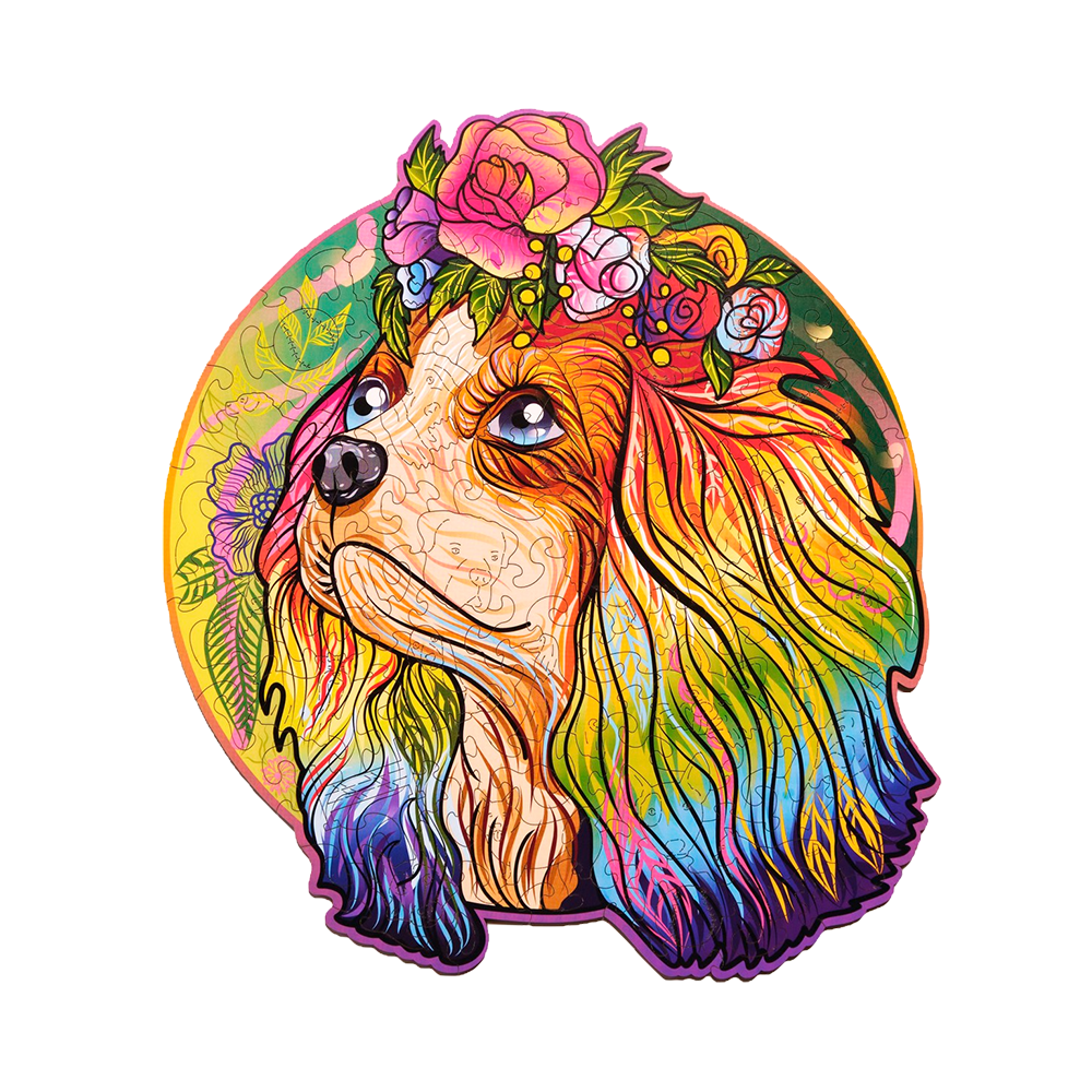 Lucky puppies: Bella image-1 English