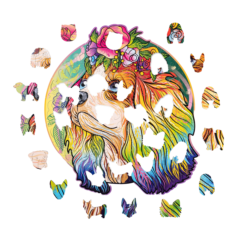 Lucky puppies: Bella image-2 English