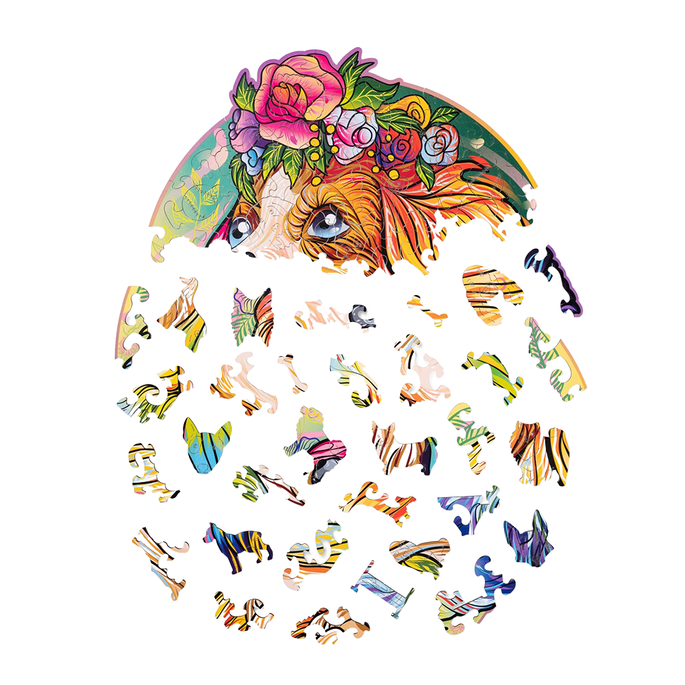 Lucky puppies: Bella image-3 English