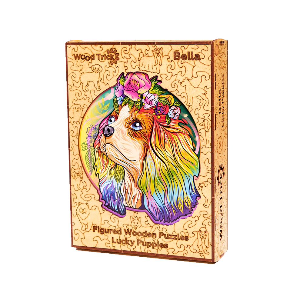 Lucky puppies: Bella image-4 English