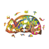 Colorful Chameleon image-2 français
