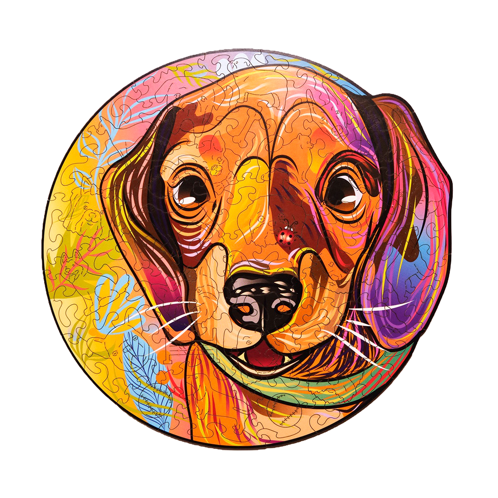 Lucky puppies: Charlie image-1 English