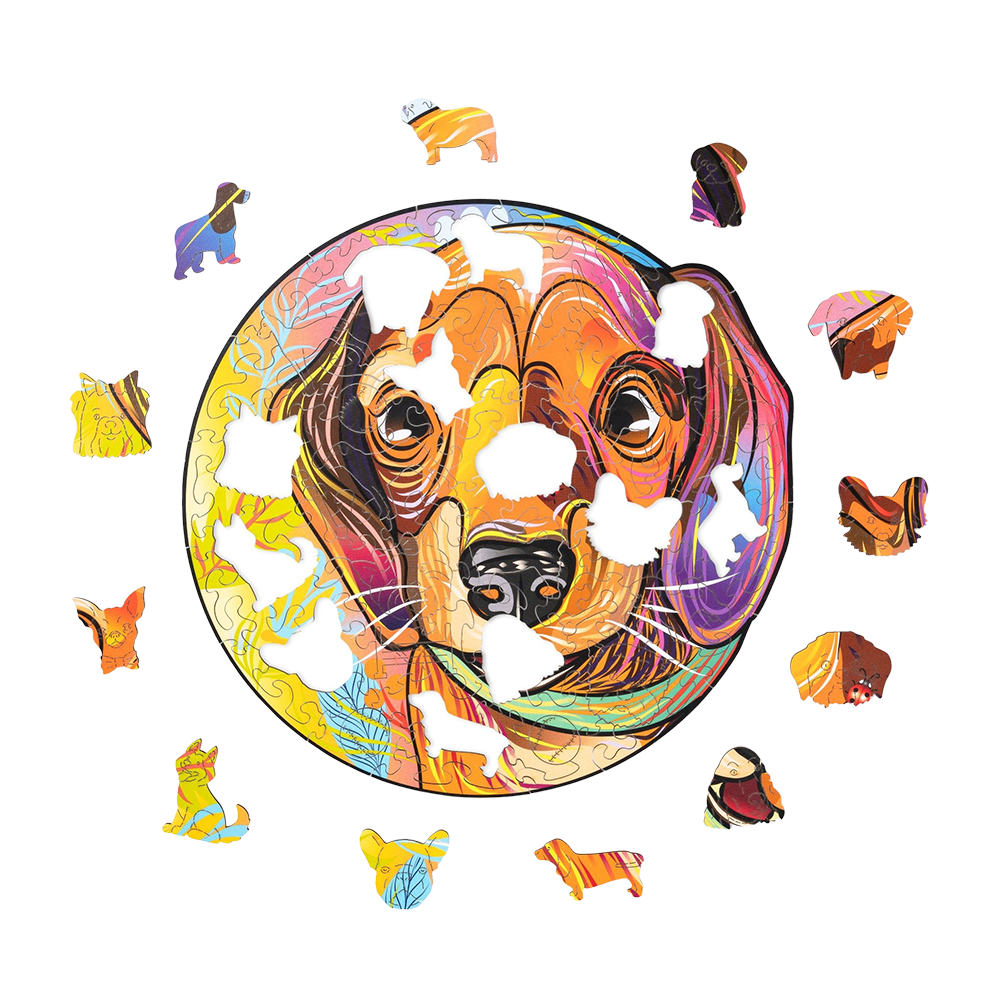 Lucky puppies: Charlie image-2 English