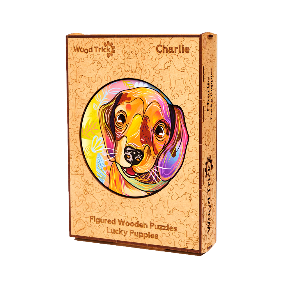 Lucky puppies: Charlie image-4 English