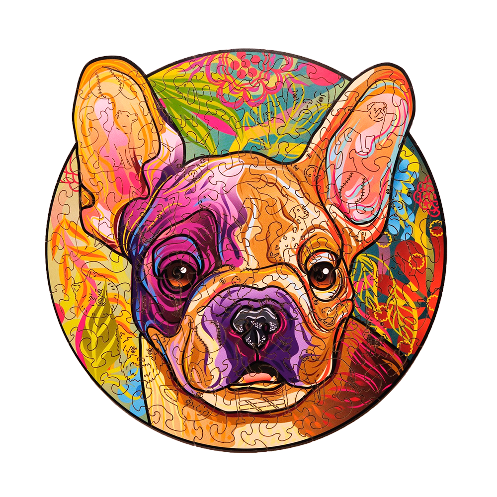 Lucky puppies: Rocky image-1 English