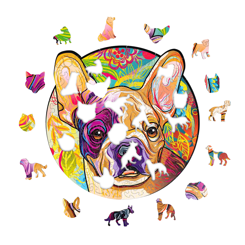 Lucky puppies: Rocky image-2 English