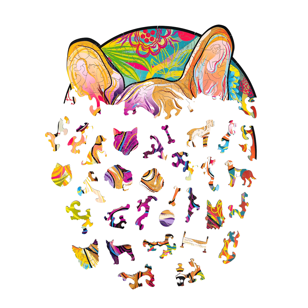 Lucky puppies: Rocky image-3 English