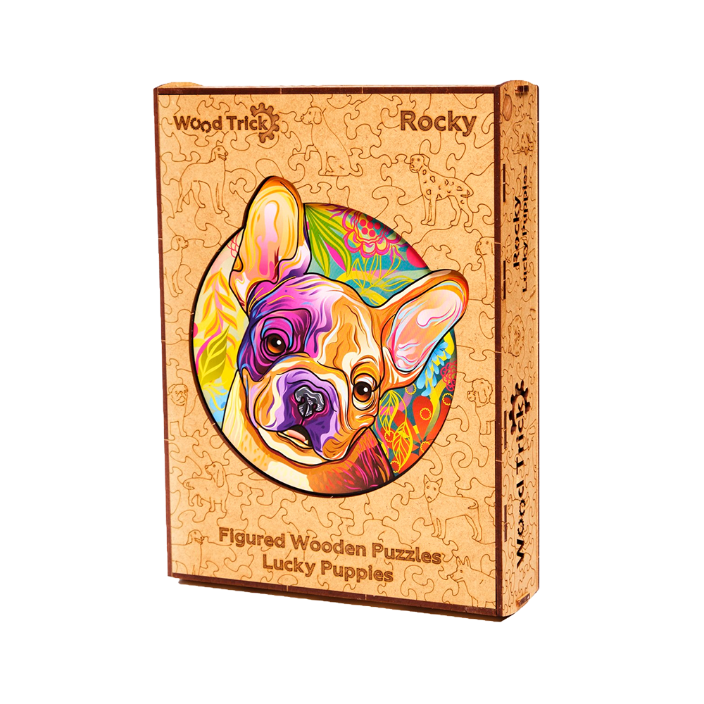 Lucky puppies: Rocky image-4 English