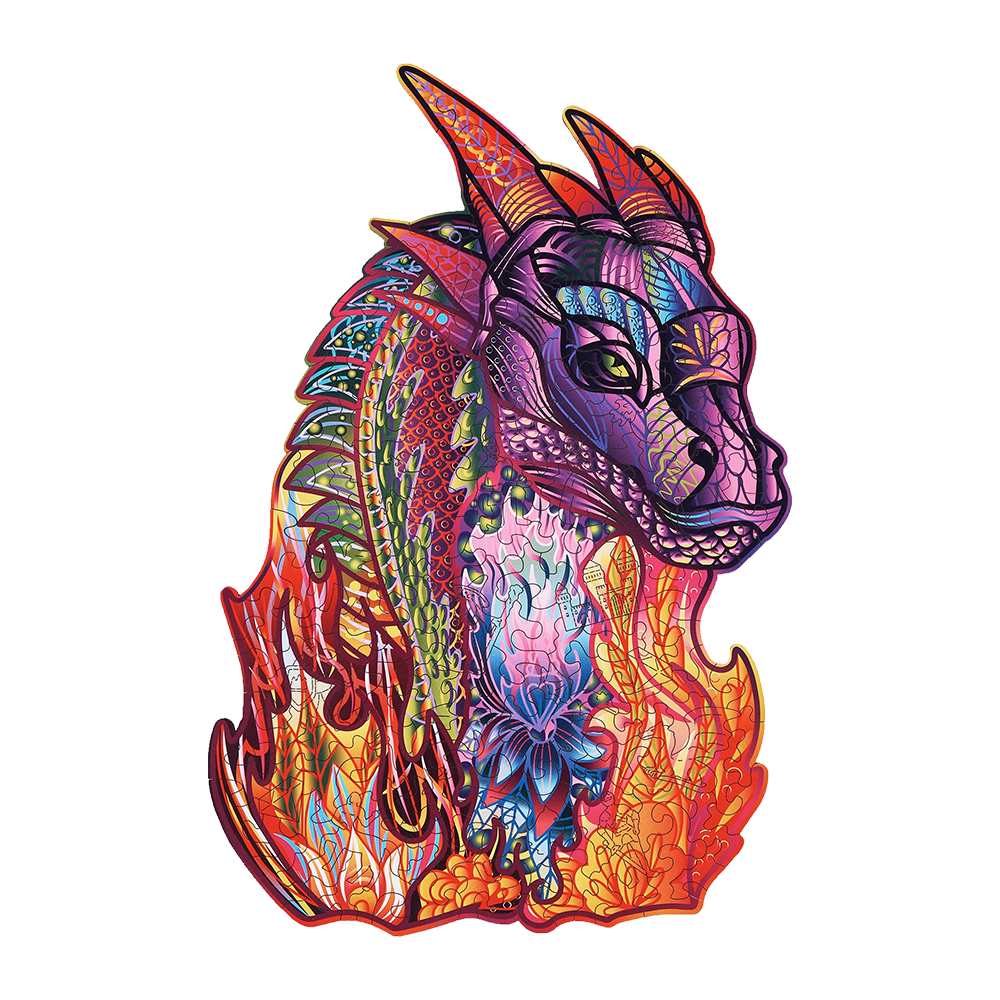 Château du dragon image-5 français