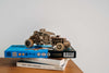 Mad Buggy image-8 English