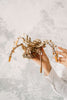Space Spider image-7 English
