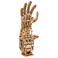 Cyber Hand