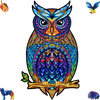 Charming Owl image-1 English
